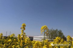 疫情已經(jīng)得到控制歡迎寧夏現(xiàn)場合伙人來訪鋁塑煉油設(shè)備